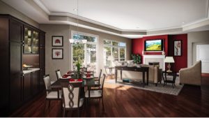 55+ housing